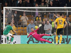 Supporting image for story: Former referee Dermot Gallagher blasts Wolves penalty call