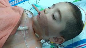 Sebastian after his operation in November