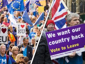 Supporting image for story: Article 50 one year on poll: Plenty of bumps in the Brexit road