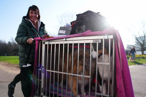 People arrive with their dogs on the first day of the Crufts Dog Show at the National Exhibition Centre (NEC) in Birmingham. Picture date: Thursday March 5, 2026. PA Photo. Photo credit should read: Jacob King/PA Wire