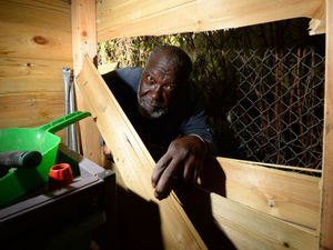 Supporting image for story: Wolverhampton allotment project hit by £1,000 theft 