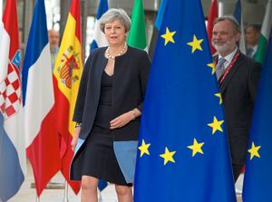 The MP is at odds with Theresa May over her Brexit plans
