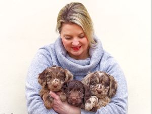 Supporting image for story: Dog trainer says animal first aid for professionals is vital