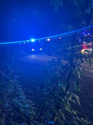 The scene at the Wrekin (Picture Tweedale Fire Station)
