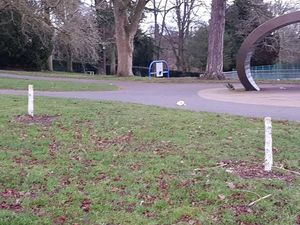 Supporting image for story: Anger as memorial trees vandalised at Kidderminster park