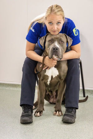 Bella was rescued by RSPCA's animal rescue officer Cara Gibbon