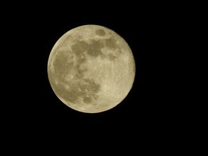 From Janice Johnson in Wombourne