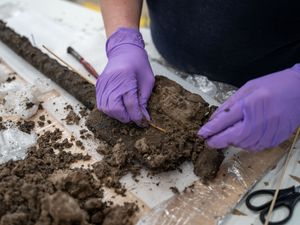 Supporting image for story: ‘Unique’ Bronze Age wooden spade found during wetlands creation project