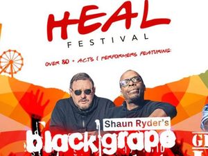 Supporting image for story: Heal music and wellbeing festival in Shrewsbury set for July