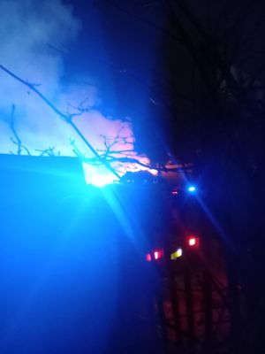 The fire in Timmis Road, Lye Pics- Ross Bingham