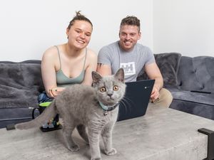 Supporting image for story: From army bases to a base of his own