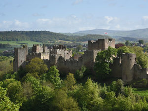 Supporting image for story: Anyone for croquet in Ludlow