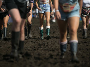 Supporting image for story: Turned off by music festivals experience