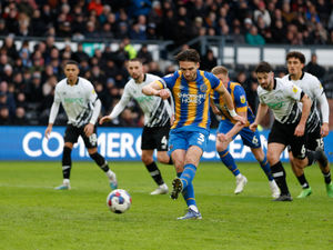 Supporting image for story: Steve Cotterill takes action and Shrewsbury respond in style