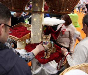 National Pet Show at Birmingham NEC. Pictures by: Andy Shaw