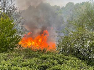 Supporting image for story: West Bromwich grass fire believed to be arson
