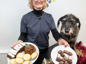 Supporting image for story: Top tips to help keep Shropshire pets safe this Christmas