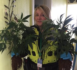 Police were suspicious because there was no snow on the roof of the house