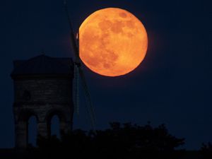 Supporting image for story: May supermoon set to delight skygazers