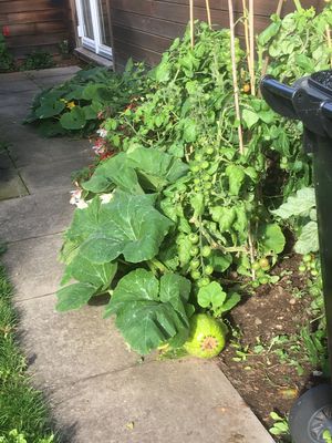 The spruced up grounds at St James' Church Hall