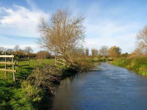 A river flows through fields with a bare tree on the bank