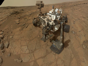 Supporting image for story: Peter Rhodes on wearing masks, taxing cars and the chances of bringing something dodgy from Mars