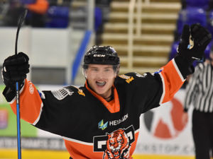 Supporting image for story: Telford Tigers roar back into top spot