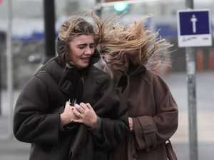 Supporting image for story: Tens of thousands remain without power after Storm Ashley hits island of Ireland