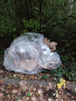 Rubbish dumped at Madeley Pit Mound. Picture: Telford & Wrekin Council
