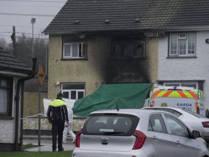 Supporting image for story: Combatting arson attacks ‘vital for society’, Taoiseach warns after house fire