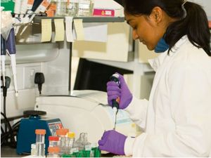 Supporting image for story: Leave a gift in your Will 