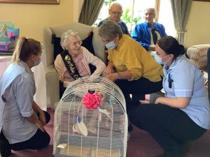 Supporting image for story: Budgerigar surprise for Nellie's 102nd birthday 