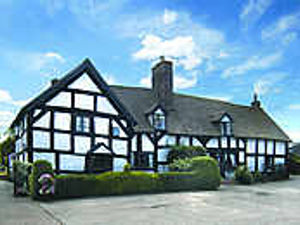 Supporting image for story: Dairy farm reaches £1.6m at big auction