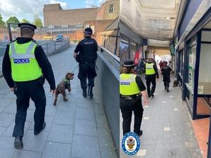 Supporting image for story: 59-year-old man arrested in Walsall for knife possession after alert from police dog