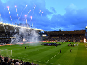 Supporting image for story: Wolves clarify 'no sacking' after ball boy controversy