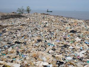 Supporting image for story: UN plastic pollution talks fail again with negotiators rejecting draft treaties