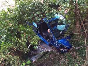 The wreckage of the car. Photo: @SFRSWellington