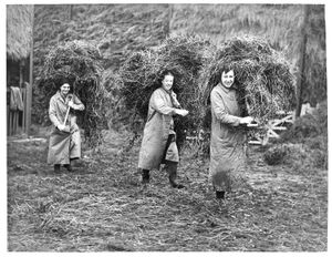 Supporting image for story: 'Flying to save the planet? Reader slams climate summit' - Your Letters and the female hands that helped win the war in a Picture from the Past