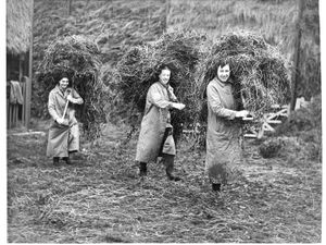 Supporting image for story: 'Flying to save the planet? Reader slams climate summit' - Your Letters and the female hands that helped win the war in a Picture from the Past