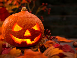 Supporting image for story: Mark Andrews on Saturday: Traditional education, a novel approach to crime-fighting, and why Halloween is getting out of hand