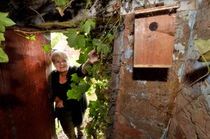 An old bird box that is used by bees