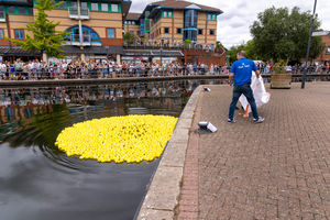 Ducks ready for the Black Country Duck Race at The Waterfront, Brierley Hill