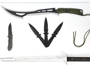 Supporting image for story: Ban the sale of deadly blades: Express & Star knife petition surges past 5,000