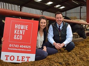 Supporting image for story: Couple expand business with lettings service