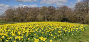 Photo: Jane and Lizzie Hulton-Harrop