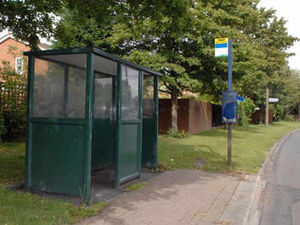 Supporting image for story: Call for village bus service route to stay