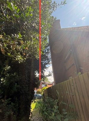 Overhanging trees at the play park. Picture: Wrockwardine Parish Council/M Bissell Trees & Hedges Ltd