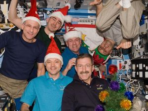Supporting image for story: What do astronauts eat at Christmas on the ISS?