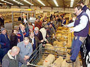 Supporting image for story: Farmers show their resilience