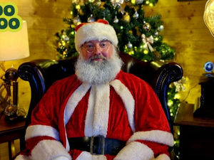 Supporting image for story: Magical Father Christmas Experience returns at former Christmas tree farm